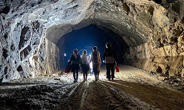 FireflyC_a variety of people and kids male and female gender wearing scary halloween costumes 903049 copy a group of people walking through a cave wearing halloween costumes and holding trick or treating bags